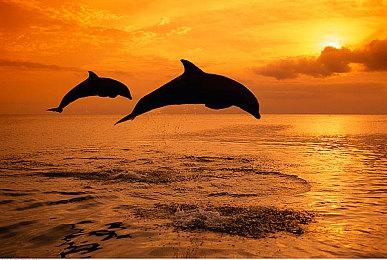 半开放世界动作冒险游戏《卡库远古封印》5月4日开启抢先体验